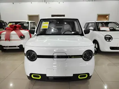 Galaxy Panda 2026, 100 км, за 39900 CNY - фото 3