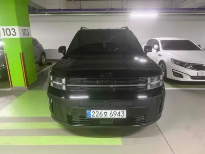 Hyundai Santafe · 2026 год