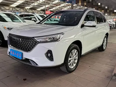 Haval M6 · 2022 год