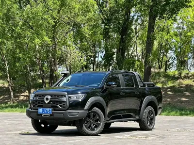 Great Wall Pao · 2022 год