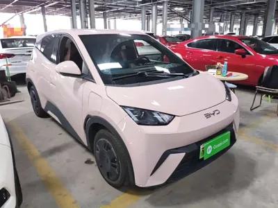 BYD Seagull 2024, 23700 км, за 46300 CNY