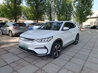 BYD PLUS New Energy · 2022 год