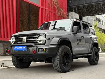 Tank Tank 300 · 2025 год