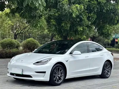 Tesla Model 3 · 2020 год