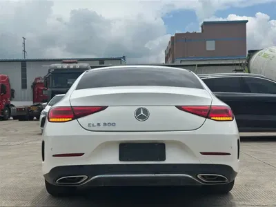 Mercedes-Benz CLS 2019, 120000 км, за 175000 CNY - фото 8