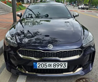 Kia Stinger · 2019 год