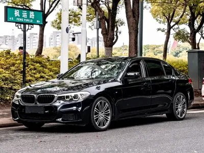 BMW 5 Series · 2019 год