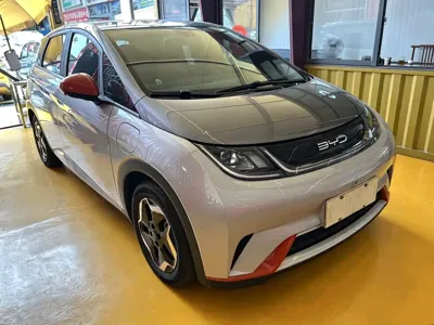 BYD Dolphin 2022, 90000 км, за 53800 CNY - фото 3