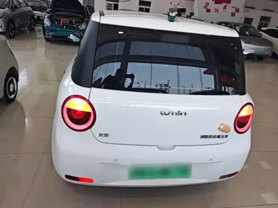 Qiyuan Lumin 2025, 7200 км, за 41200 CNY - фото 6