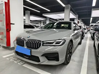 BMW 5 Series · 2020 год