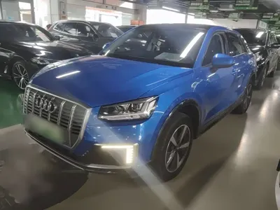 Audi Q2L e-tron · 2020 год
