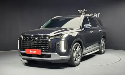 Hyundai Palisade · 2024 год