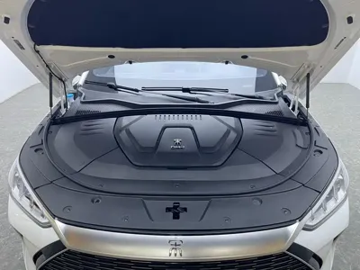 BYD PLUS New Energy 2022, 44700 км, за 69800 CNY - фото 17