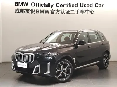 BMW X5 · 2024 год