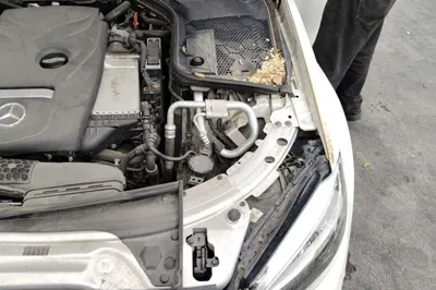 Mercedes-Benz C-Class 2019, 99600 км, за 102513.38 CNY - фото 22
