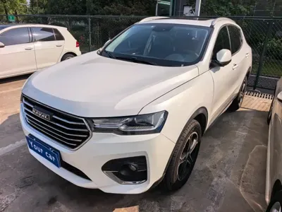 Haval H4 · 2020 год