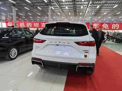 Haval Xiaolong Max 2025, 100 км, за 118800 CNY - фото 4
