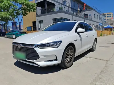 BYD Qin Pro NEV · 2020 год