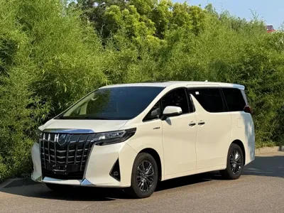 Toyota Alphard · 2022 год