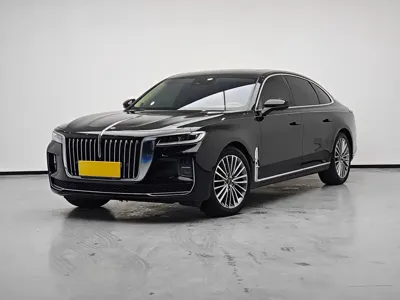 Hongqi Hongqi H9 · 2024 год