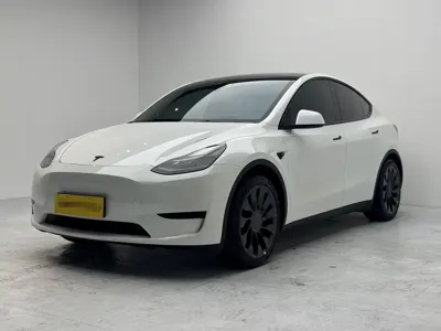 Tesla Model Y · 2023 год