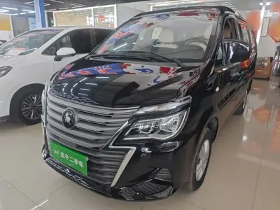 Fengxing Lingzhi · 2024 год
