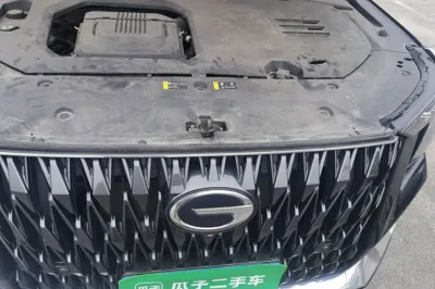 GAC Trumpchi GS8 2022, 113900 км, за 107265.71 CNY - фото 22