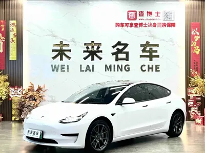 Tesla Model 3 · 2023 год