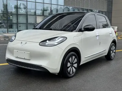 Wuling Bingo · 2024 год