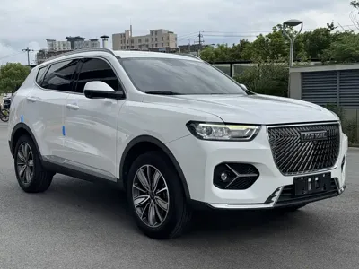 Haval H6 2021, 62000 км, за 50800 CNY - фото 3