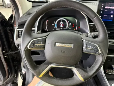 Haval H6 2022, 29000 км, за 83800 CNY - фото 11