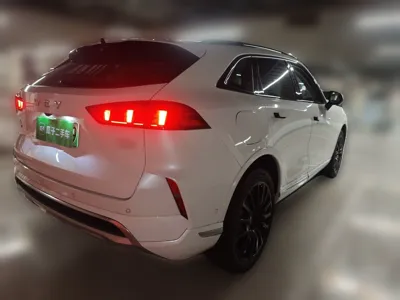 WEY Mocha New Energy 2022, 63900 км, за 105174.86 CNY - фото 6