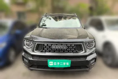 Haval H Dog 2023, 24900 км, за 105762.81 CNY