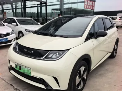 BYD Dolphin · 2024 год