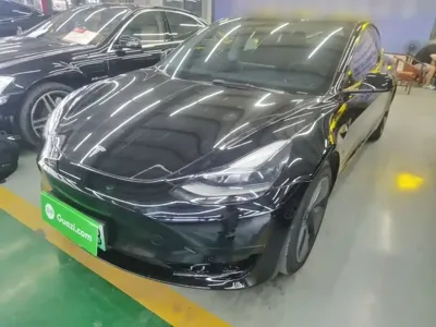 Tesla Model 3 · 2021 год
