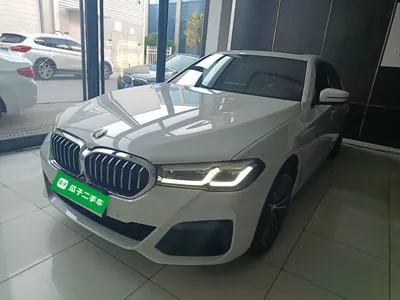 BMW 5 Series · 2023 год