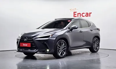 Lexus NX · 2024 год