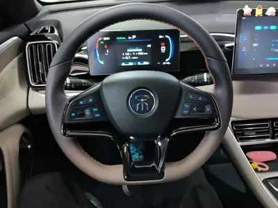 BYD Pro New Energy 2024, 24100 км, за 69000 CNY - фото 11