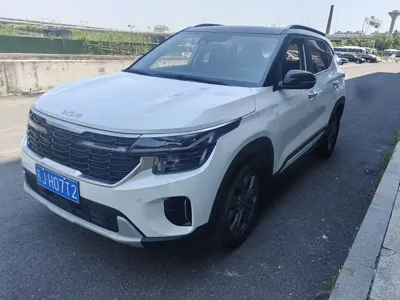 Kia Seltos · 2024 год