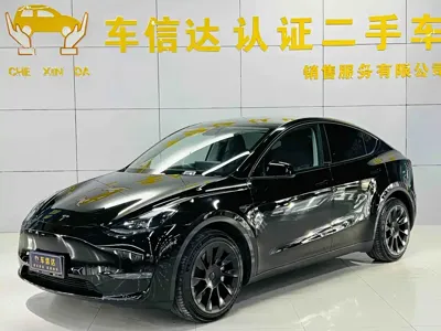 Tesla Model Y · 2021 год