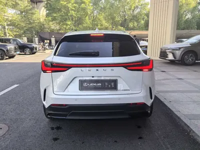 Lexus NX New Energy 2023, 36000 км, за 258000 CNY - фото 7
