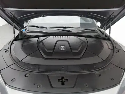BYD PLUS New Energy 2023, 76900 км, за 72900 CNY - фото 6