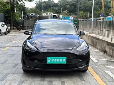 Tesla Model Y 2022, 51000 км, за 163800 CNY - фото 2