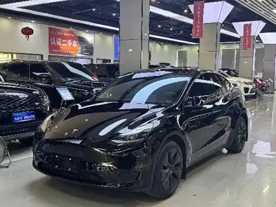Tesla Model Y · 2024 год