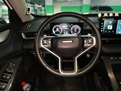 Haval H6 2022, 41900 км, за 48500 CNY - фото 11