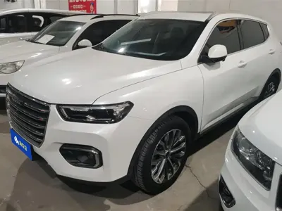 Haval H6 · 2020 год