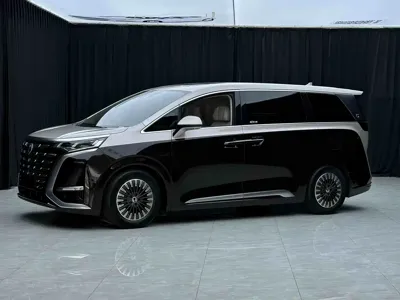 Denza Denza D9 · 2024 год