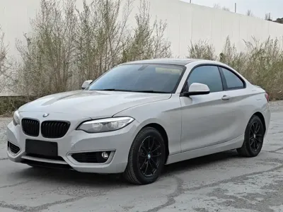 BMW 2 Series (Import) · 2016 год