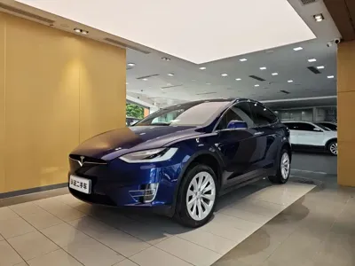 Tesla Model X · 2017 год