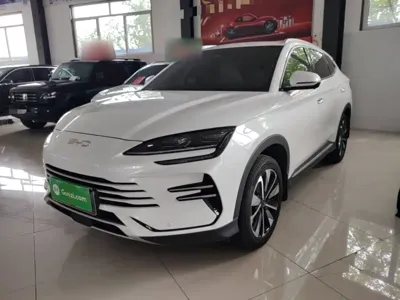 BYD PLUS New Energy · 2025 год